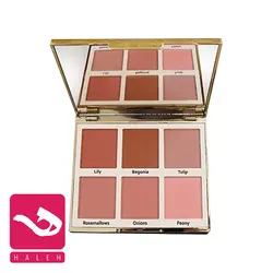 پالت رژگونه آرتیستا مدل هو هو | هاله اسپارکل