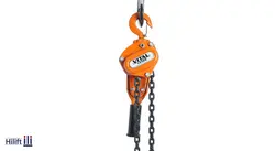 پولیفت 0.8 تن ویتال Vital ارتفاع زنجیر 1.5 متر درجه 1 سفارش TMG