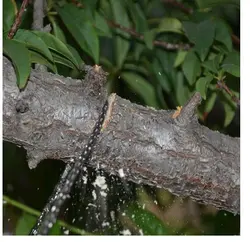 اره جیبی زنجیری دستی کمپینگ