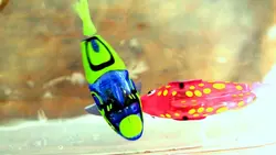 خرید ماهی رباتیک جینو jino