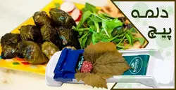 دستگاه دلمه پیچ دلمر dolmer
