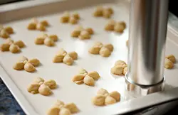 دستگاه بیسکویت زن خانگی