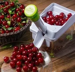 هسته گیر آلبالو مدل اصل ارزان