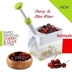 هسته گیر آلبالو مدل اصل ارزان