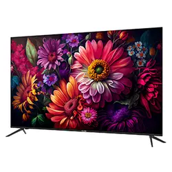 تلویزیون ال ای دی الیو 8740 سایز 65 اینچ
