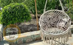 قیمت + خرید تاب ریلکسی مکرومه بافی | فروشگاه ویلامبل