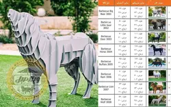 فلاور باکس و باربیکیو زغالی مدل گرگ - باربیکیو دو منظوره