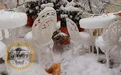 قیمت + خرید میز و صندلی پلیمری مدل طاووس | ویلا مبل