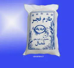 برنج طارم فجر درجه 1 آستانه اشرفیه