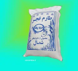 برنج طارم فجر درجه 1 آستانه اشرفیه