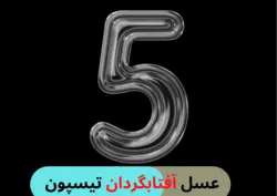 5 تن عسل نیمه تغذیه آفتابگردان