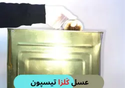 عسل کَلزا حلب (26KG)