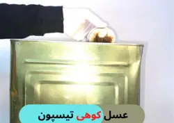 عسل کوهی حلب (26KG)