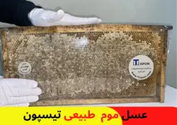 عسل موم طبیعی ( 2.6KG حدود )
