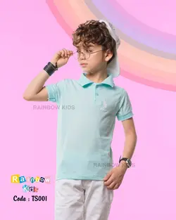 تیشرت تک پنبه ای یقه دار کد:7000