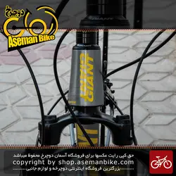 دوچرخه کوهستان جاینت مدل XTC  کاستوم سایز 29 رنگ نقره ای 27 سرعته 2020  29  Giant MTB Bicycle XTC Custom XS 27 S 2020