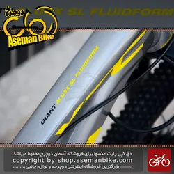 دوچرخه کوهستان جاینت مدل XTC  کاستوم سایز 29 رنگ نقره ای 27 سرعته 2020  29  Giant MTB Bicycle XTC Custom XS 27 S 2020