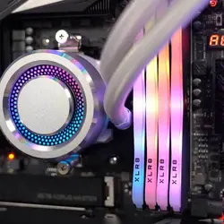 رم پی‌ان‌وای XLR8 Gaming EPIC-X RGB™ DDR4 دوتایی با باس 4000 مگاهرتز و ظرفیت 16 گیگابایت