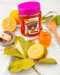 عسل ممتاز کوهستان نیم کیلویی