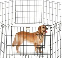 پارک نگهداری حیوانات خانگی مدل PH 14