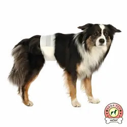 پوشک سگ سایز متوسط و بزرگ 12 عددی Trixie