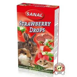 قرص مولتی ویتامین جوندگان با طعم توت فرنگی 45گرم SANAL