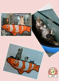 جای خواب پشت پنجره ای طرح دار مخصوص گربه Dougez