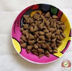 غذای خشک گربه بالغ داخل خانه 10 کیلو royal canin indoor