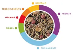 غذای مرغ مینا میوه ای مخلوط 1کیلویی PADOVAN