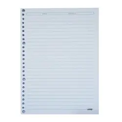 برگه کلاسوری بهشتی بسته 100 عددی &ndash; فروشگاه آنلاین رویز کالا