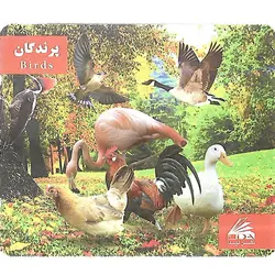 فلش کارت آموزشی لیدا: پرندگان