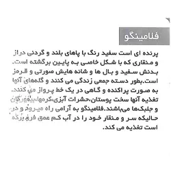 فلش کارت آموزشی لیدا: پرندگان