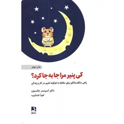 کی پنیر مرا جا به جا کرد؟