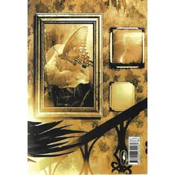 در سایه ی پرنده های سیاه