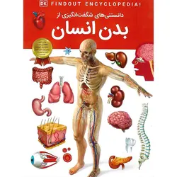 دانستنی های شگفت انگیزی از بدن انسان