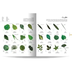 دایره المعارف مصور گیاه شناسی