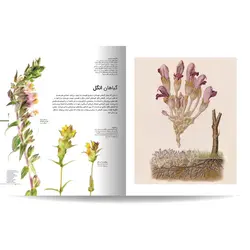 دایره المعارف مصور گیاه شناسی