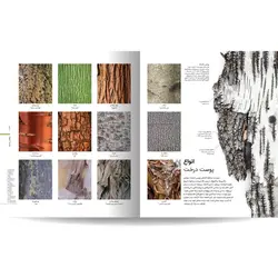 دایره المعارف مصور گیاه شناسی