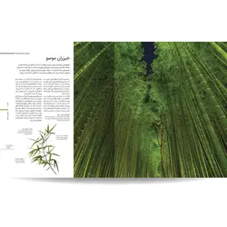 دایره المعارف مصور گیاه شناسی