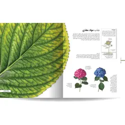 دایره المعارف مصور گیاه شناسی