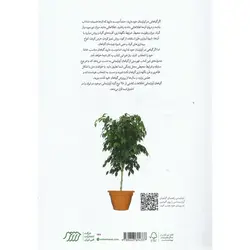 راهنمای نگهداری گیاهان آپارتمانی