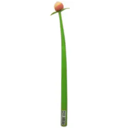 خودکار روان نویس فانتزی طرح هلو