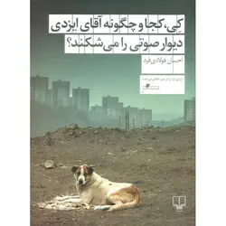 کی، کجا و چگونه آقای ایزدی دیوار صوتی را می شکند؟