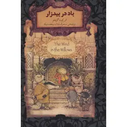 باد در بیدزار (رمان های جاویدان جهان)