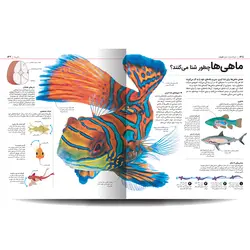 دایره‌المعارف مصور جانداران همراه با جعبه
