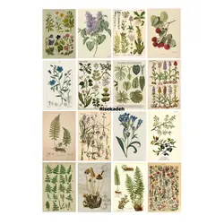 پک پوستر bota