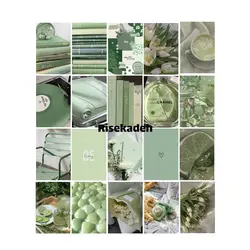 پک سبز روشن پاستیلی