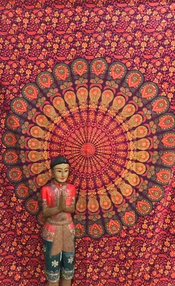 بک دراپ هندی