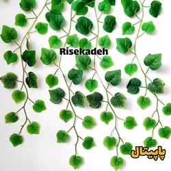 ریسه برگ پاپیتال