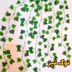 ریسه برگ نوک تیز